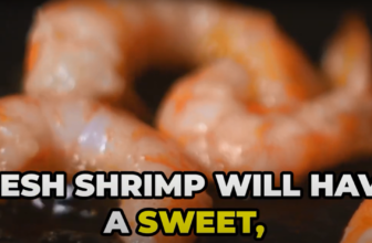 Nigiri Ebi