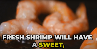 Nigiri Ebi