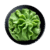 06. Wasabi